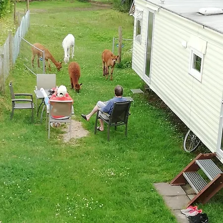 Διαμέρισμα Herzfennerhof Mobilheim Auw bei Prum