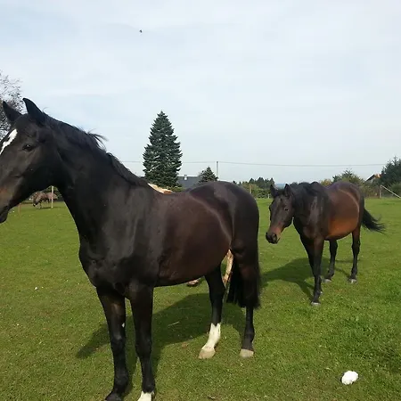 Herzfennerhof Mobilheim * Auw bei Prum