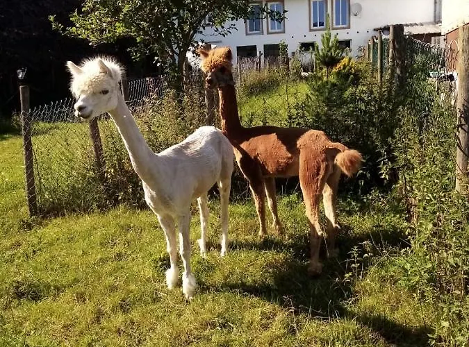 Herzfennerhof Mobilheim