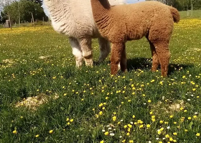 Lejlighed Herzfennerhof Mobilheim
