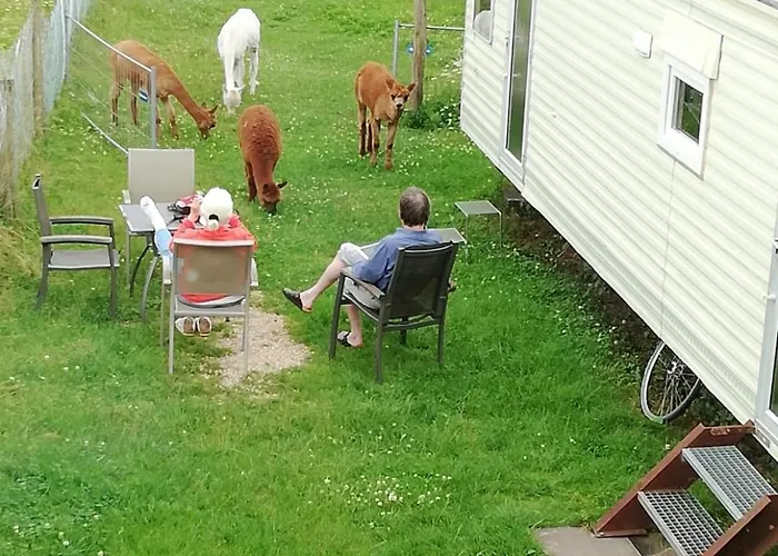 Lejlighed Herzfennerhof Mobilheim Auw bei Prum