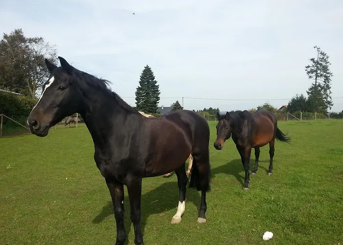 Herzfennerhof Mobilheim * Auw bei Prum
